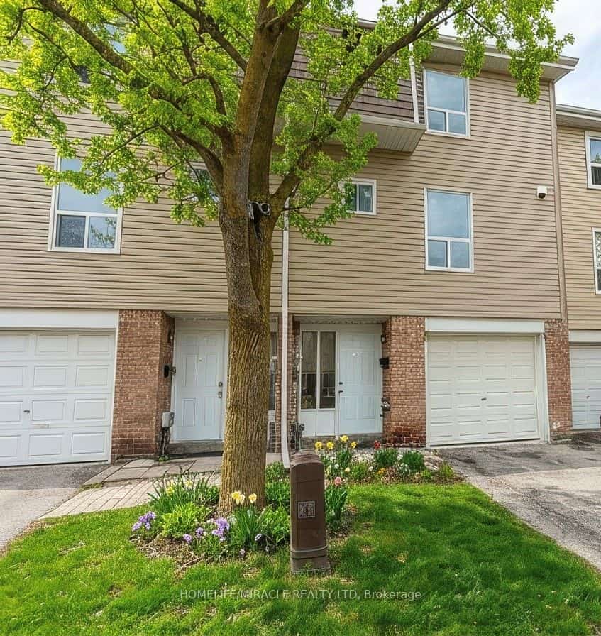 40 Ellis Drive, Brampton, ON L6T 4C4