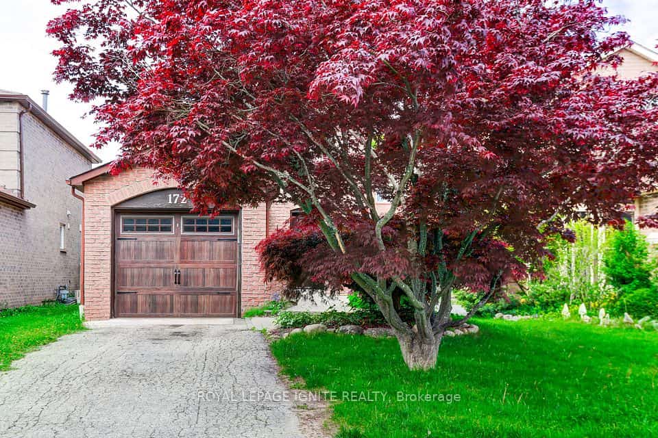 172 Radford Drive, Ajax, ON L1T 2C2