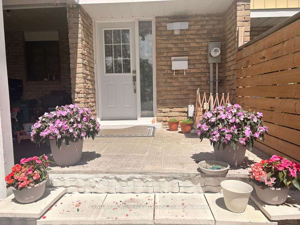 244 Royal Salisbury Way, Brampton, ON L6V 3H4