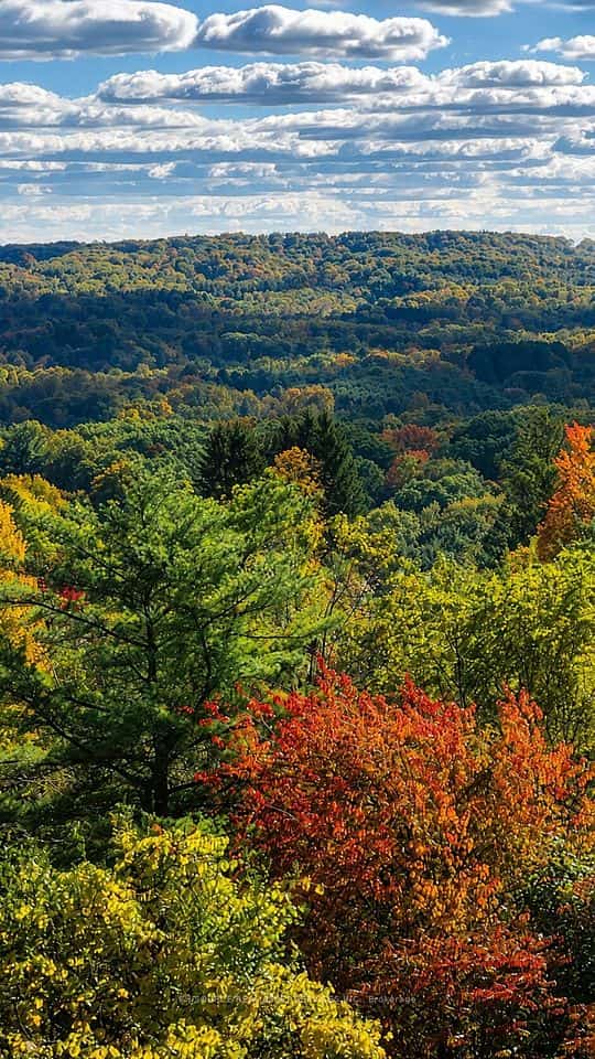 50 Oak Avenue, Hamilton, ON L9H 4Y9